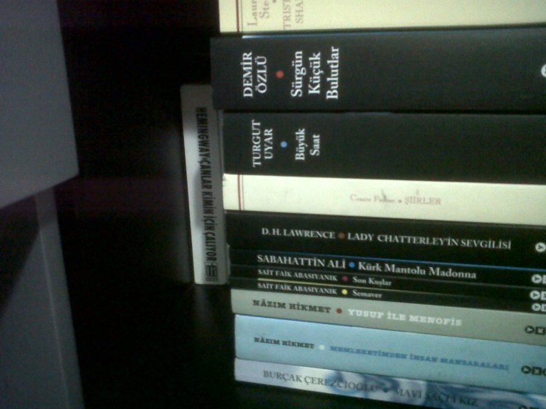 IMG00325-20120305-2051